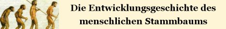 Banner Ritterturniere im Mittelalter
